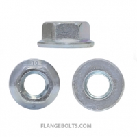 M6-1.0 Hex Flange Nut JIS Class 10 Zinc