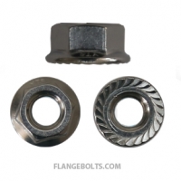 1/2-13 Serrated Hex Flange Nut 18-8 Stainless Steel