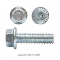 M6-1.0X12 Hex Serrated Flange Screw Class 8.8 Zinc