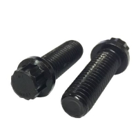 12 POINT FLANGE BOLTS